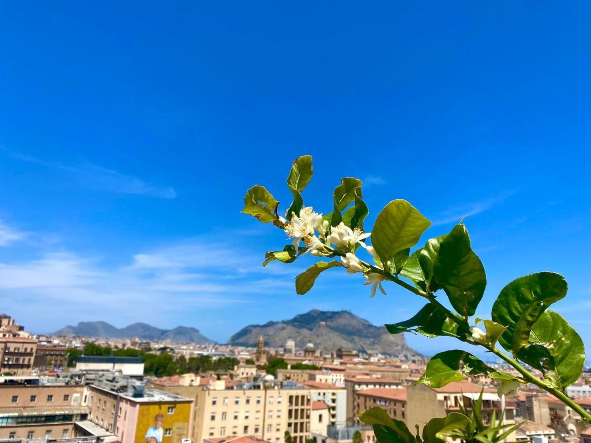 Le Albe di Sicilia Bed & Breakfast Palermo Exterior foto