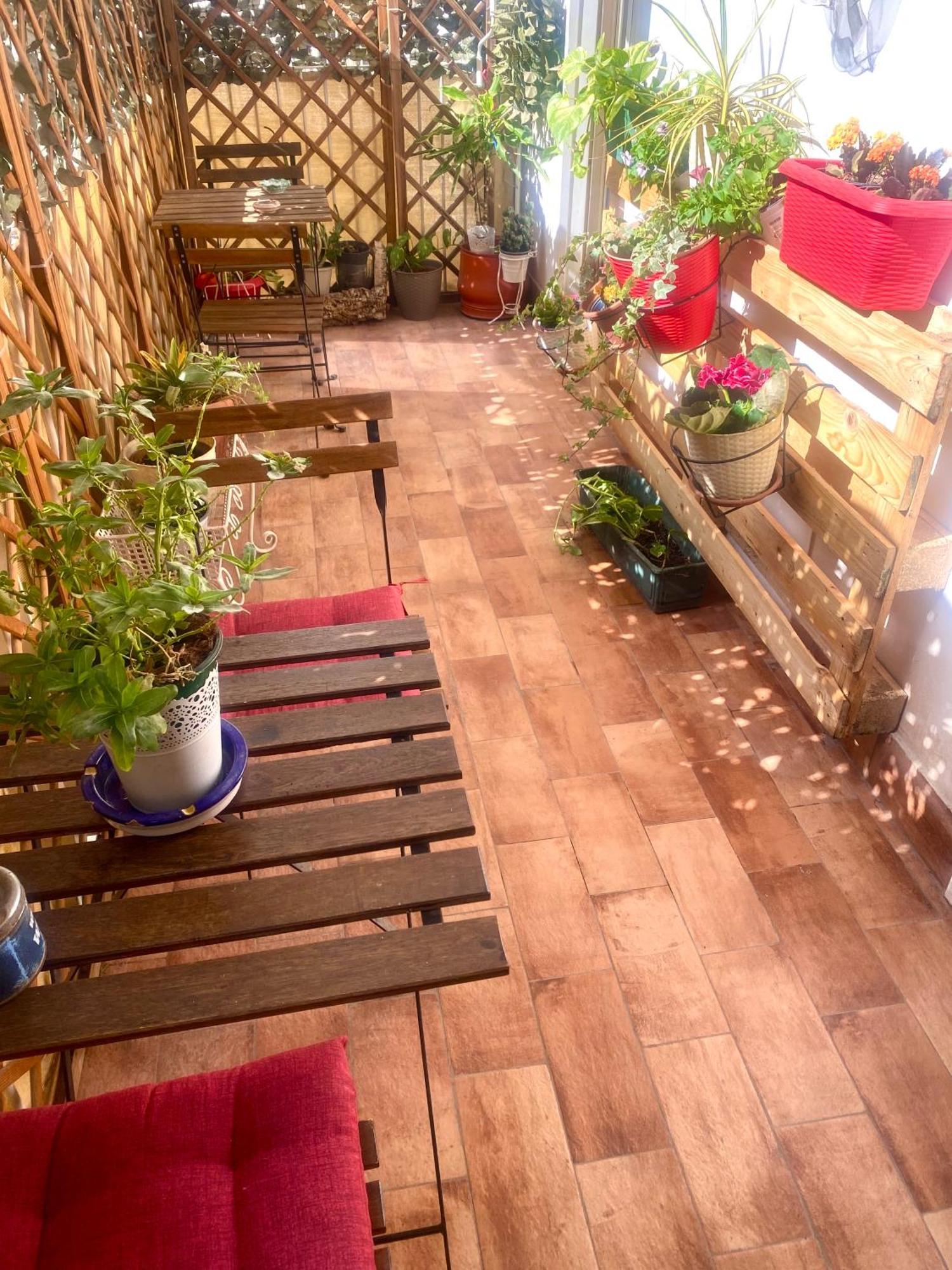 Le Albe di Sicilia Bed & Breakfast Palermo Exterior foto